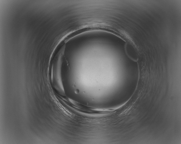 X0000054460932200508011458