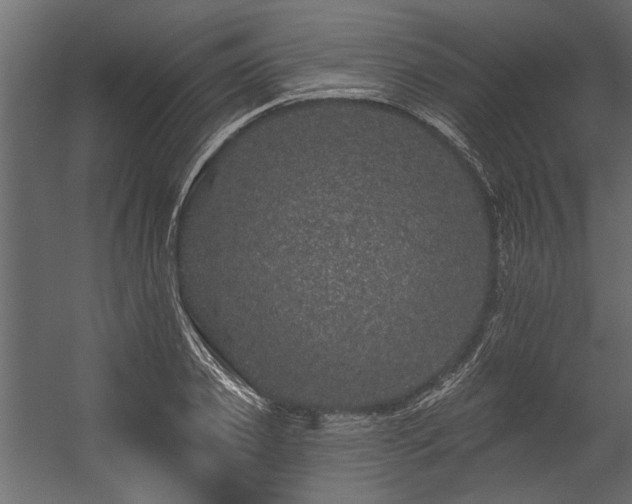 X0000054460933200508011458