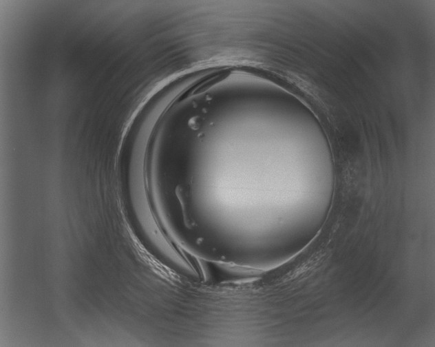 X0000054460934200508011458