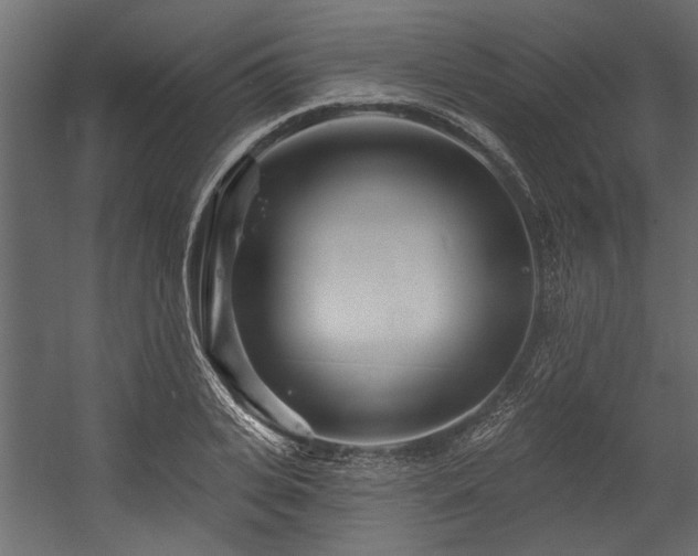 X0000054460935200508011458