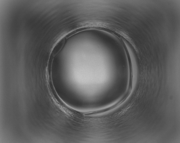 X0000054460936200508011458