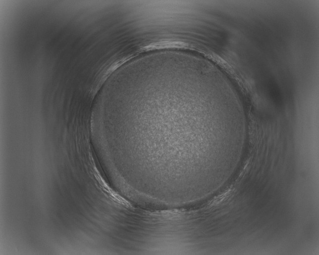 X0000054460937200508011458