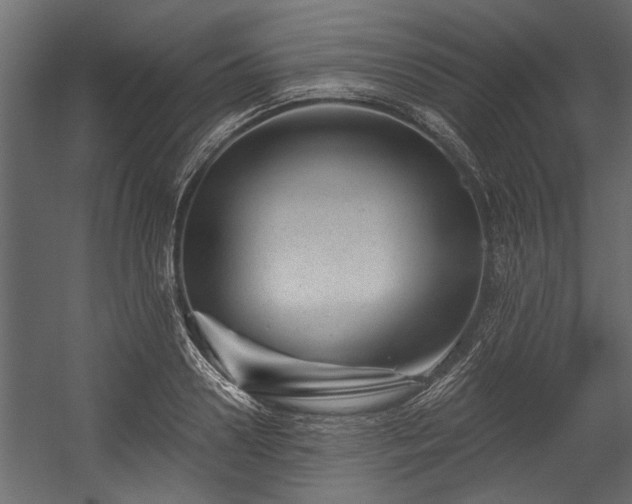 X0000054460938200508011458