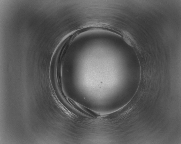 X0000054460940200508011458