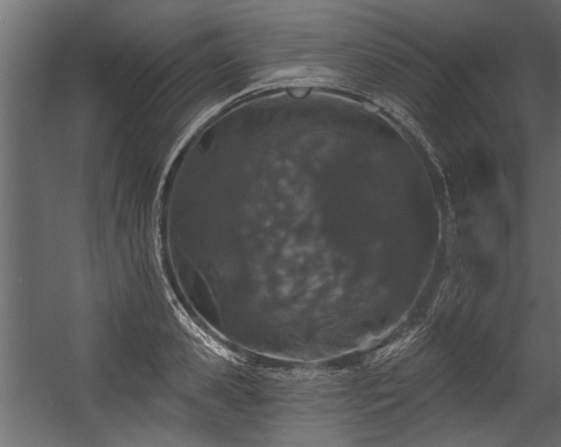 X0000054460941200508011458