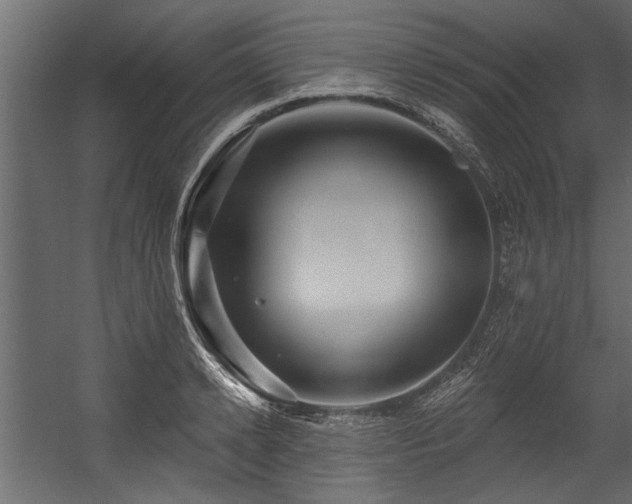 X0000054460942200508011458