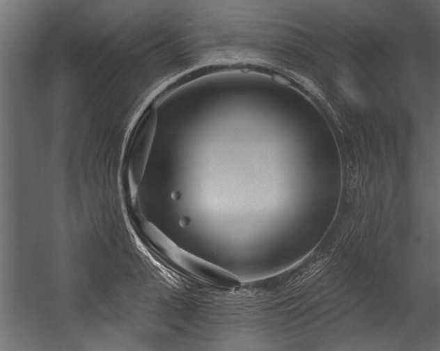 X0000054460943200508011458