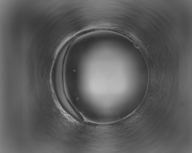 X0000054460944200508011458