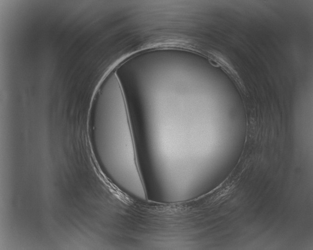 X0000054460948200508011458