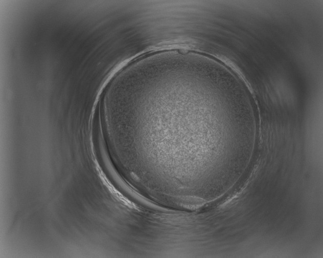 X0000054460949200508011458