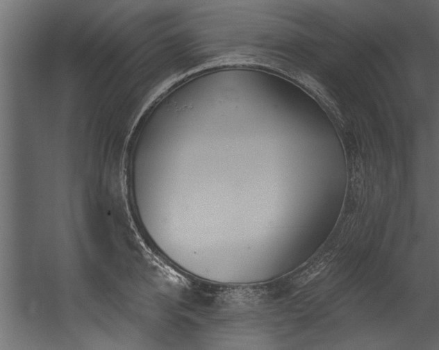 X0000054460950200508011458