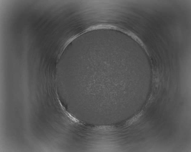 X0000054460953200508011458