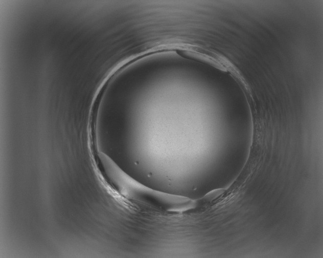 X0000054460955200508011458