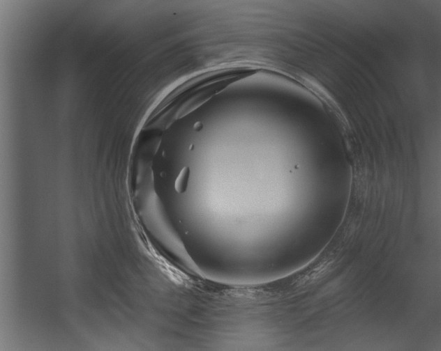 X0000054460956200508011458