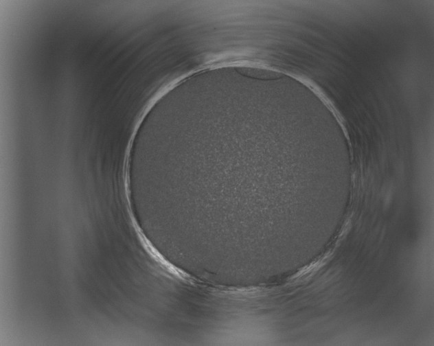 X0000054460957200508011458