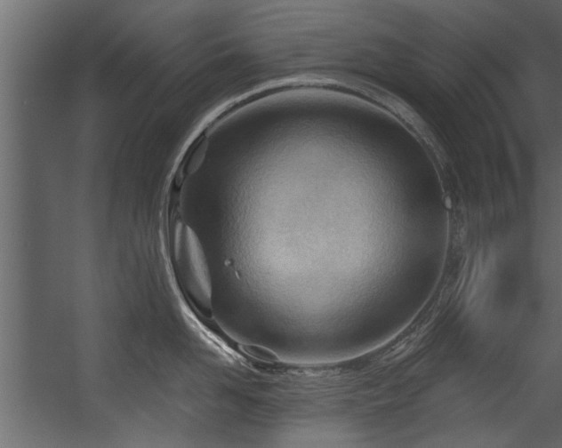 X0000054460958200508011458