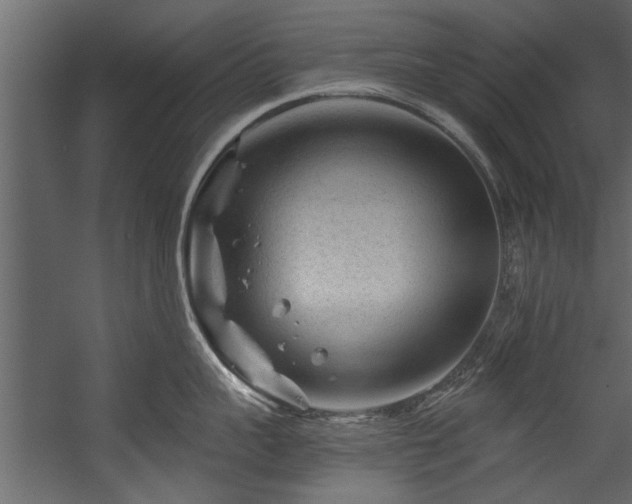 X0000054460959200508011458