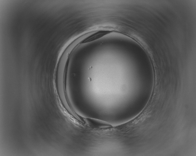 X0000054460960200508011458