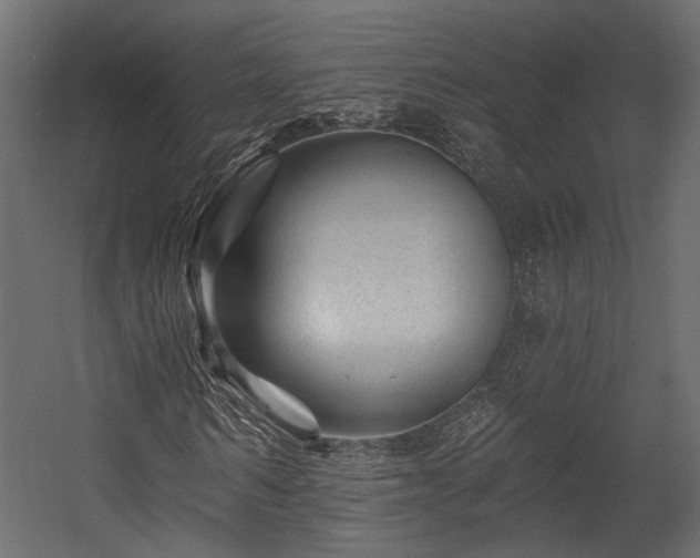 X0000054460962200508011457