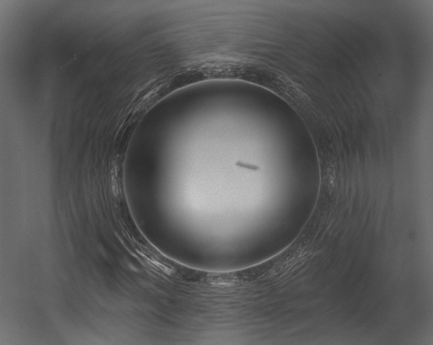 X0000054460964200508011457