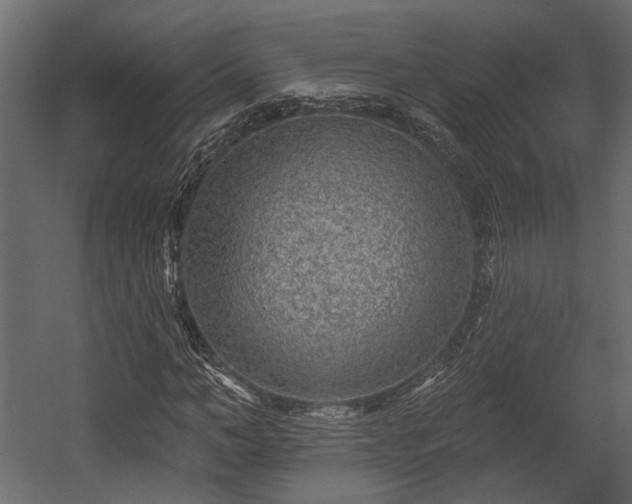 X0000054460966200508011457