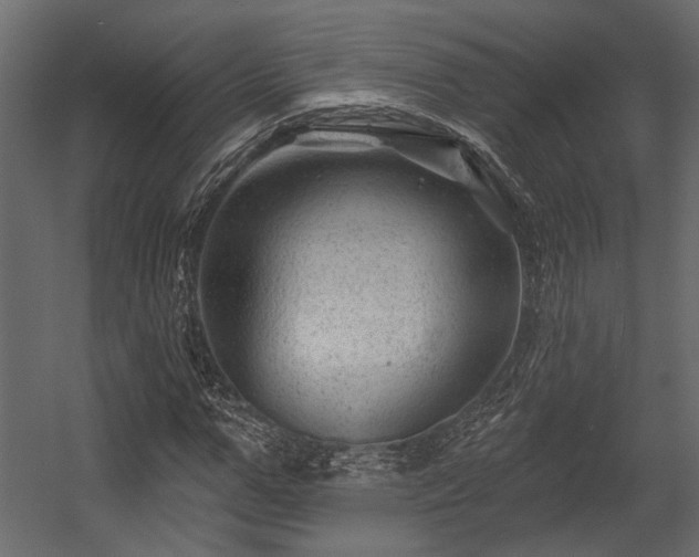 X0000054460967200508011457