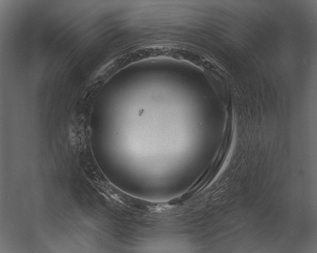 X0000054460968200508011457