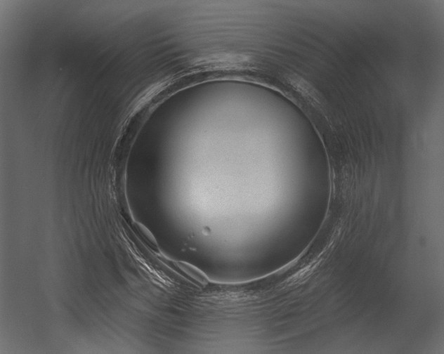 X0000054460970200508011457