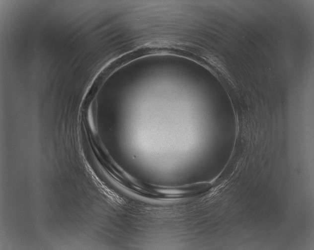 X0000054460976200508011457