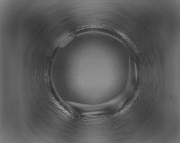 X0000054460977200508011457