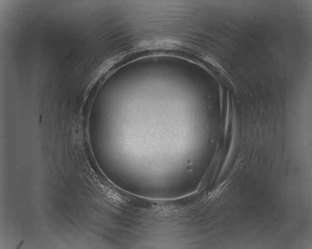 X0000054460978200508011457