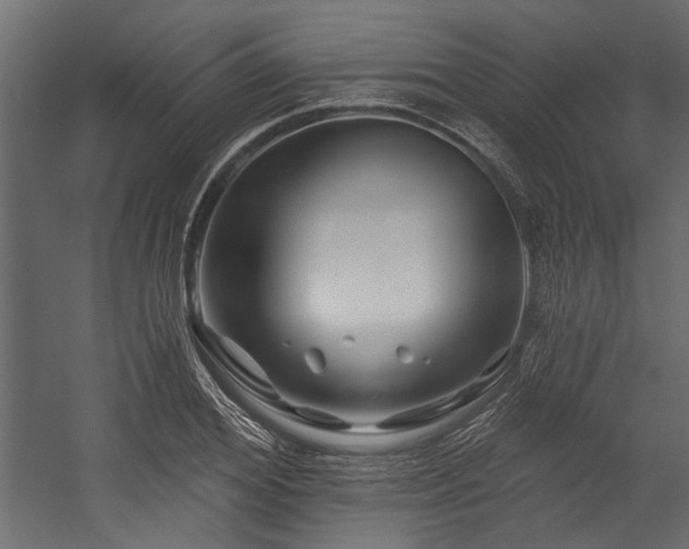 X0000054460980200508011457