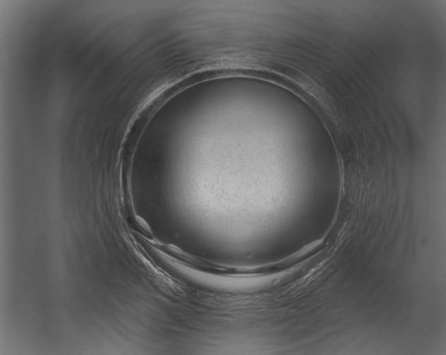 X0000054460982200508011457