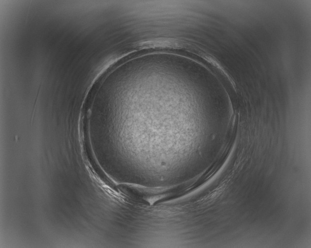 X0000054460983200508011457