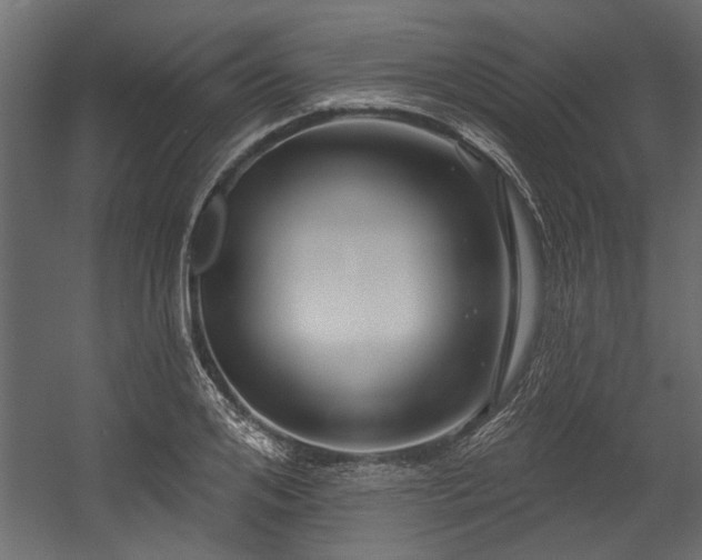 X0000054460984200508011457