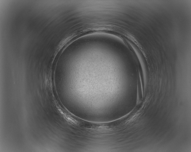 X0000054460986200508011457