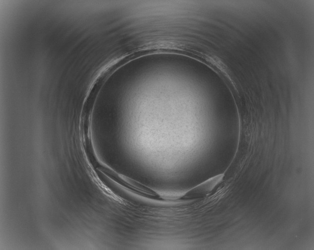 X0000054460987200508011457