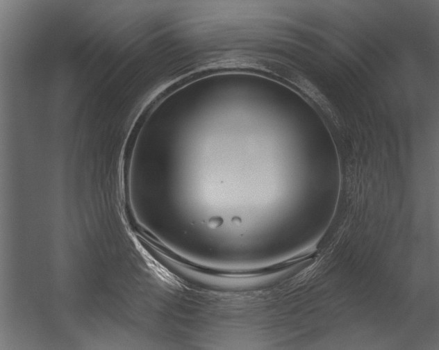 X0000054460988200508011457