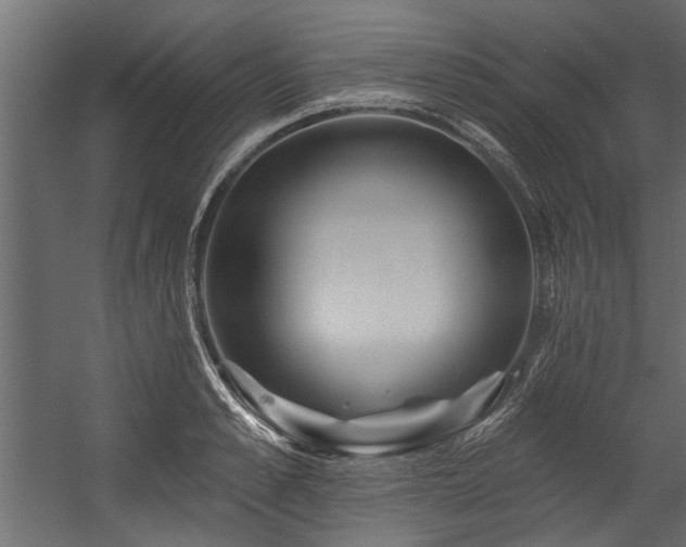 X0000054460989200508011457