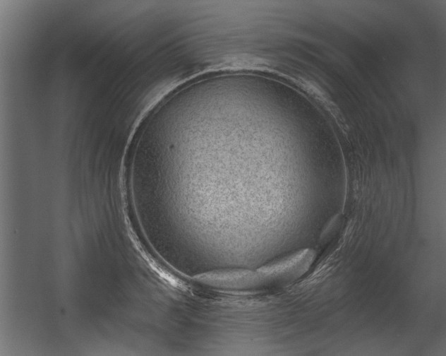 X0000054460990200508011457