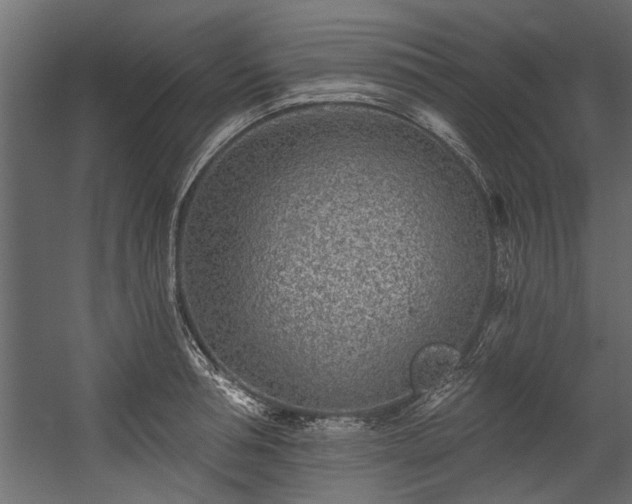 X0000054460994200508011457