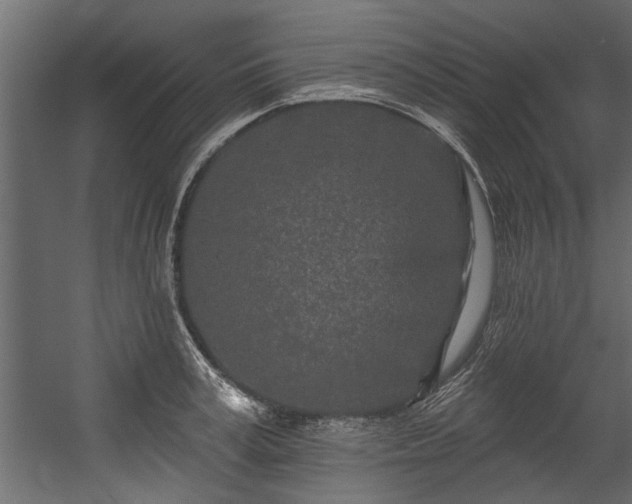 X0000054460995200508011457