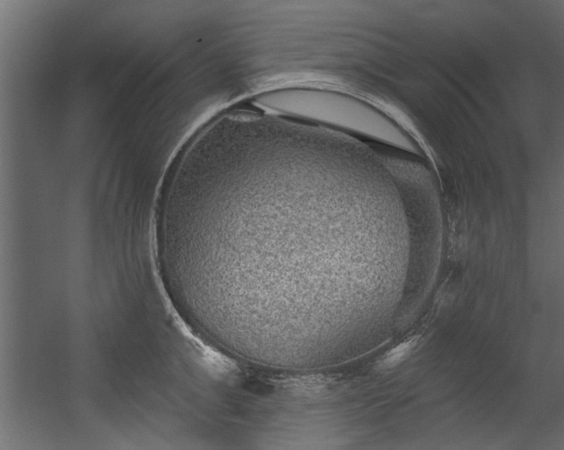 X0000054460999200508011457