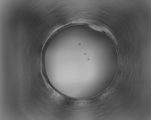 X0000054461000200508011456