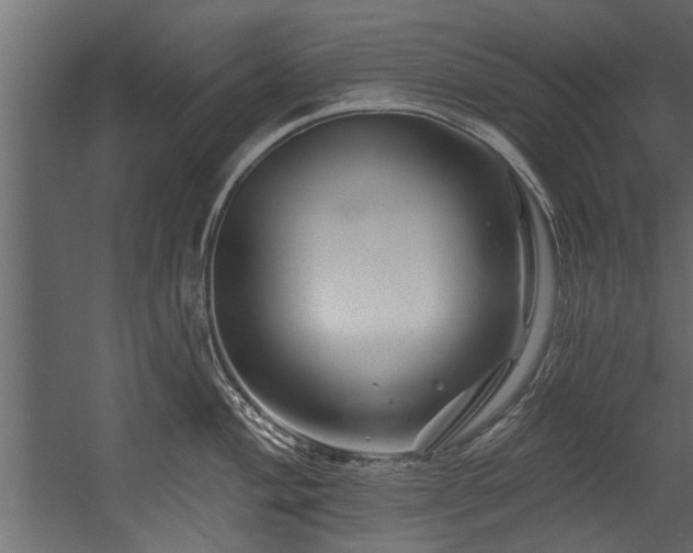 X0000054461004200508011456