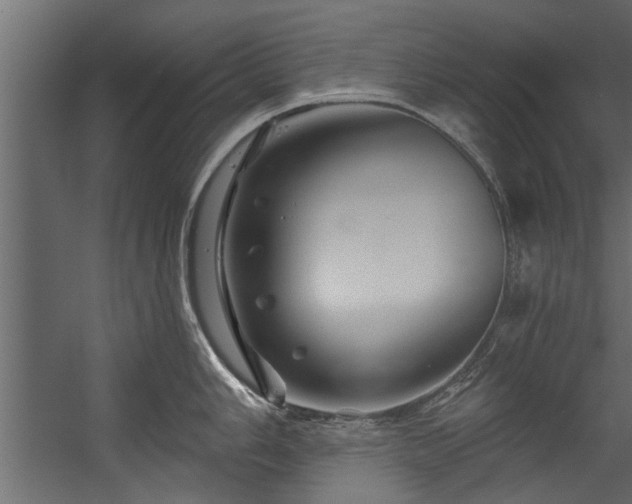 X0000054461006200508011456