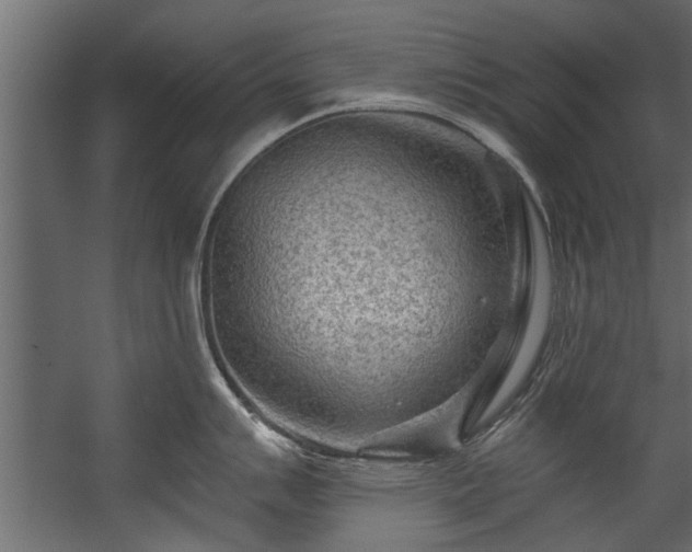 X0000054461007200508011456