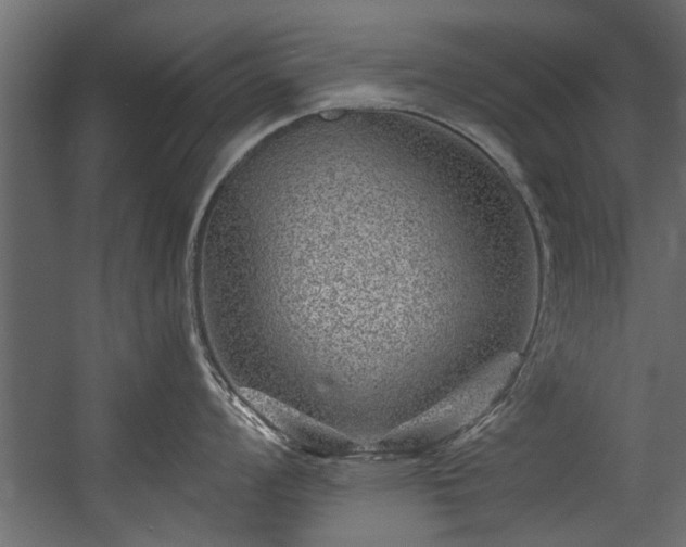 X0000054461008200508011456