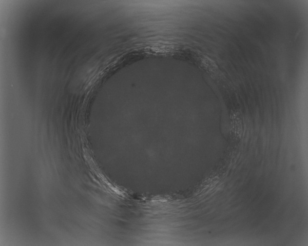 X0000054461009200508011456