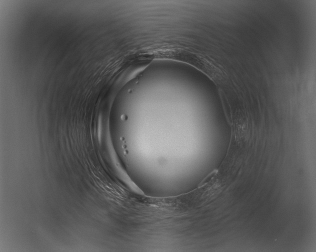 X0000054461010200508011456